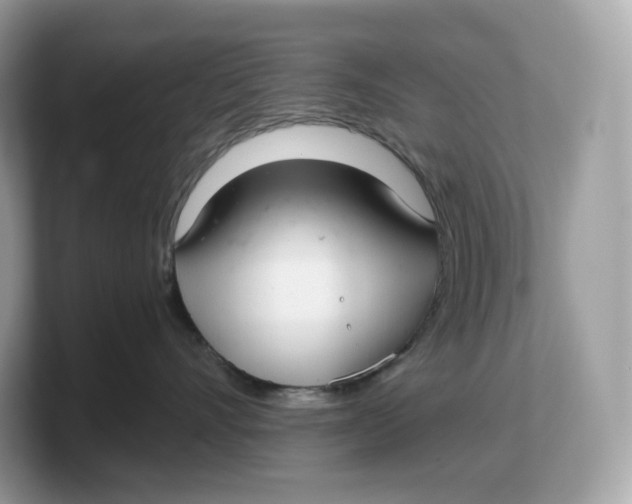 X0000103220528200809181506