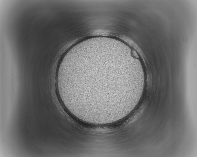 X0000103220529200809181505