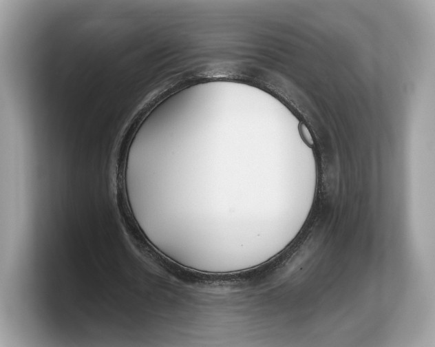 X0000103220530200809181505