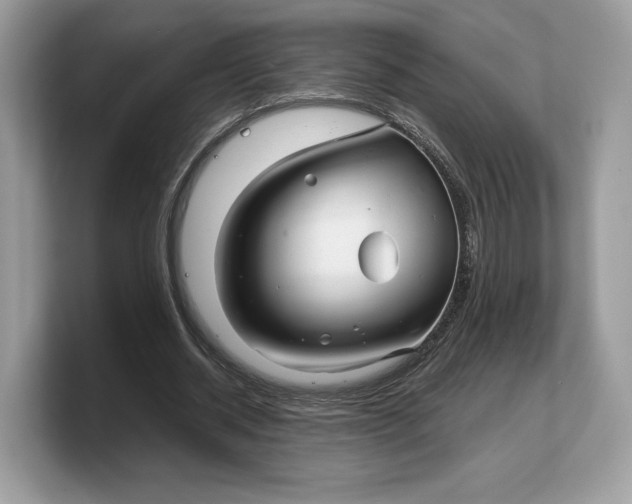 X0000103220534200809181505