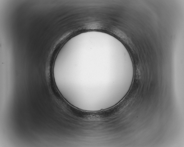 X0000103220535200809181505