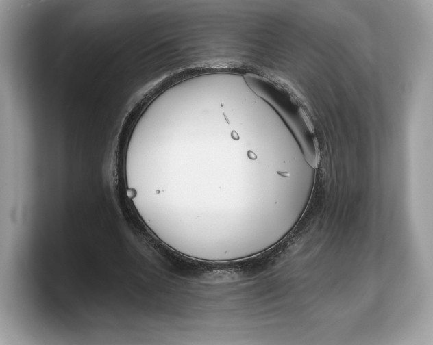 X0000103220536200809181505