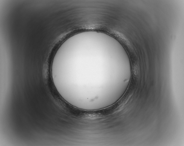 X0000103220540200809181505