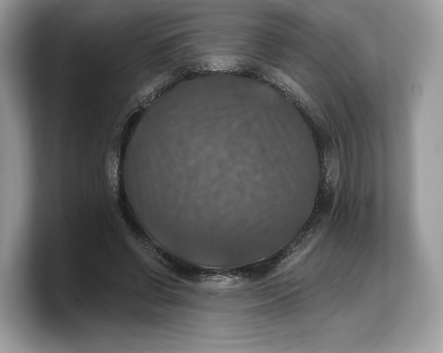 X0000103220542200809181505