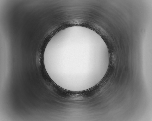 X0000103220544200809181505