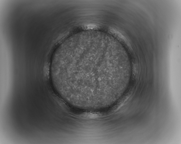 X0000103220545200809181505