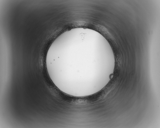 X0000103220546200809181506