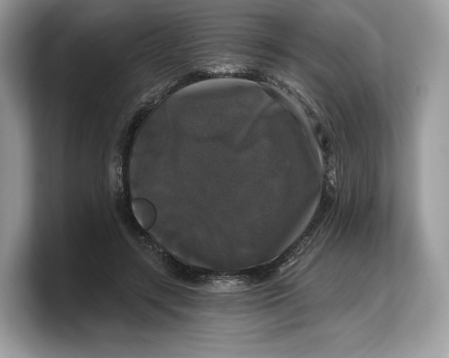 X0000103220547200809181506