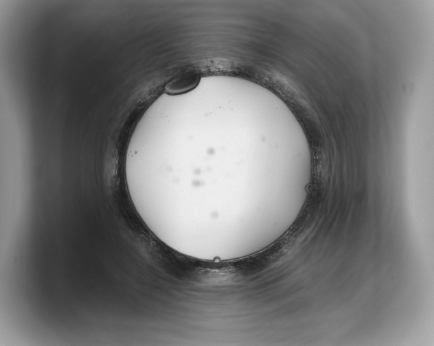 X0000103220548200809181506