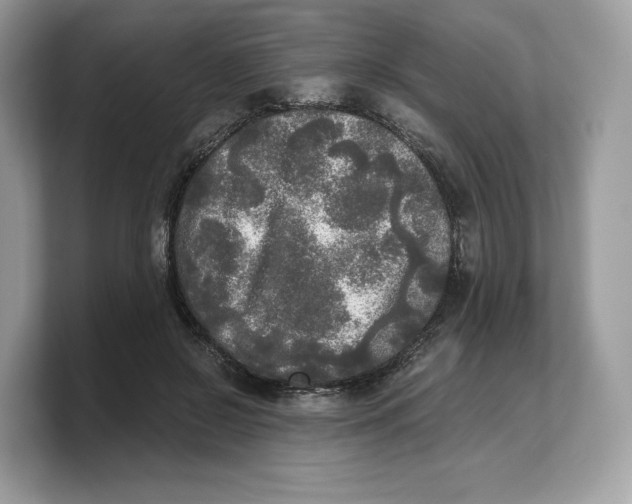 X0000103220550200809181506