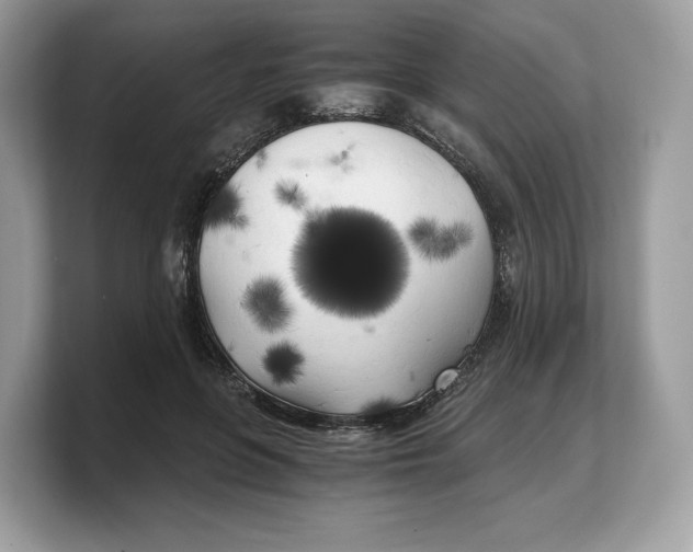 X0000103220551200809181506