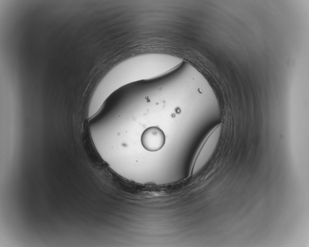 X0000103220552200809181506