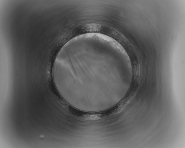 X0000103220553200809181506