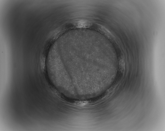 X0000103220554200809181506