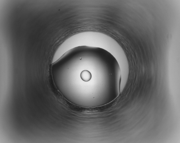 X0000103220556200809181506