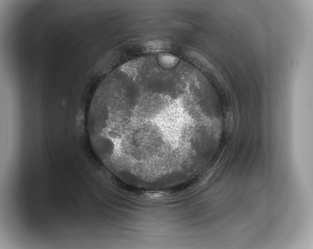 X0000103220557200809181506