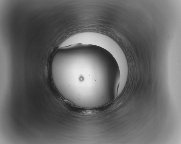 X0000103220558200809181506