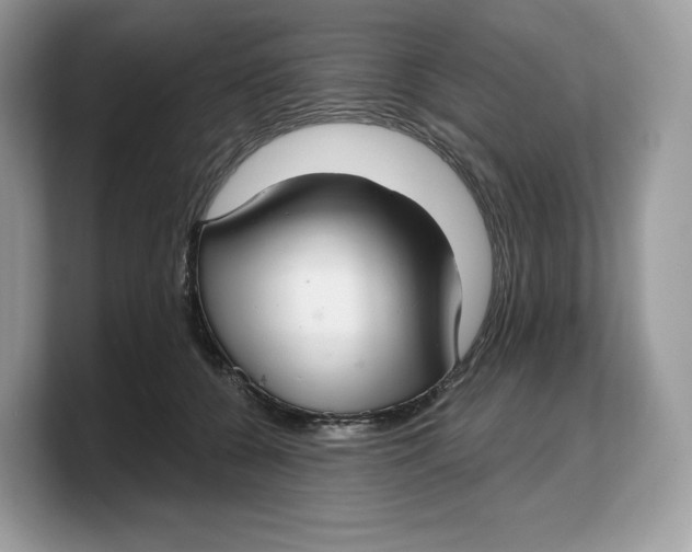 X0000103220560200809181506