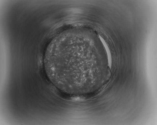 X0000103220561200809181506