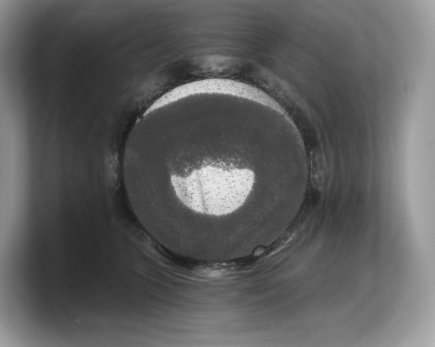 X0000103220563200809181506