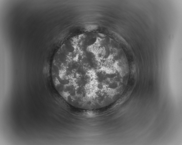 X0000103220565200809181506