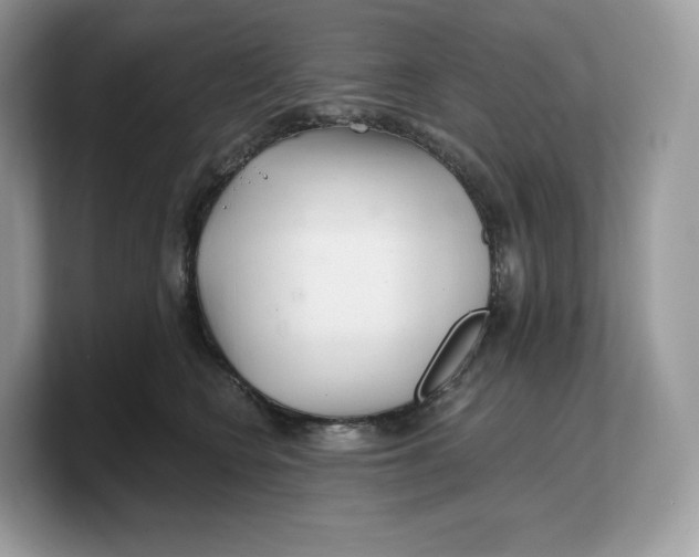 X0000103220566200809181506