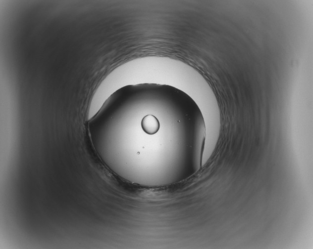 X0000103220568200809181506