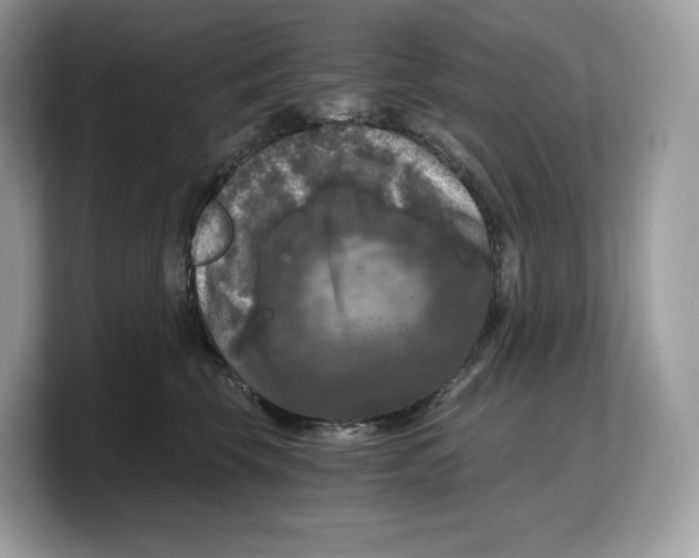 X0000103220569200809181506