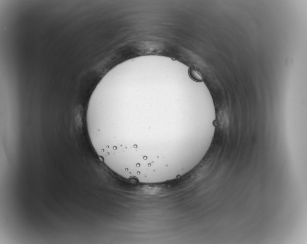 X0000103220570200809181506