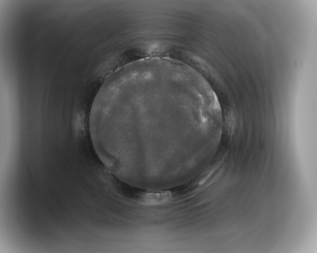 X0000103220571200809181506