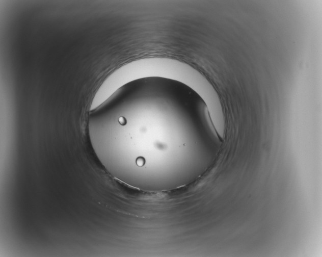 X0000103220576200809181506