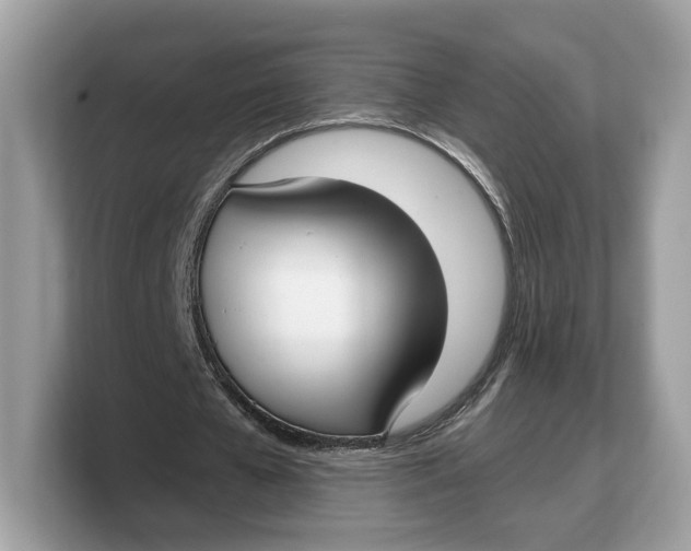 X0000103220577200809181505