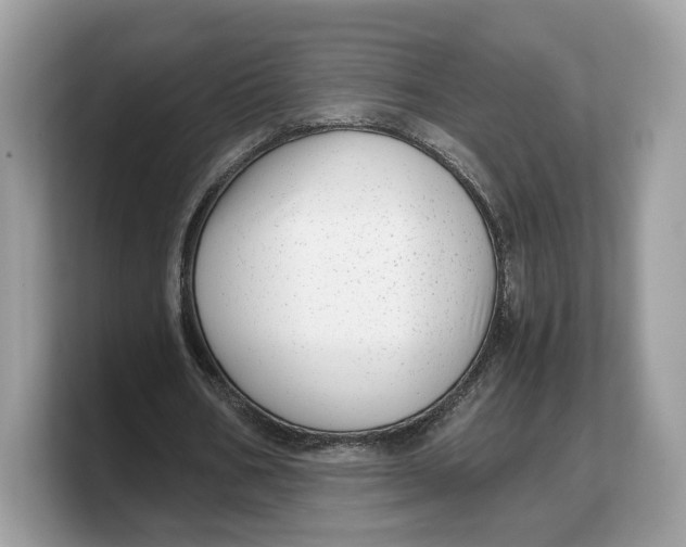 X0000103220578200809181505