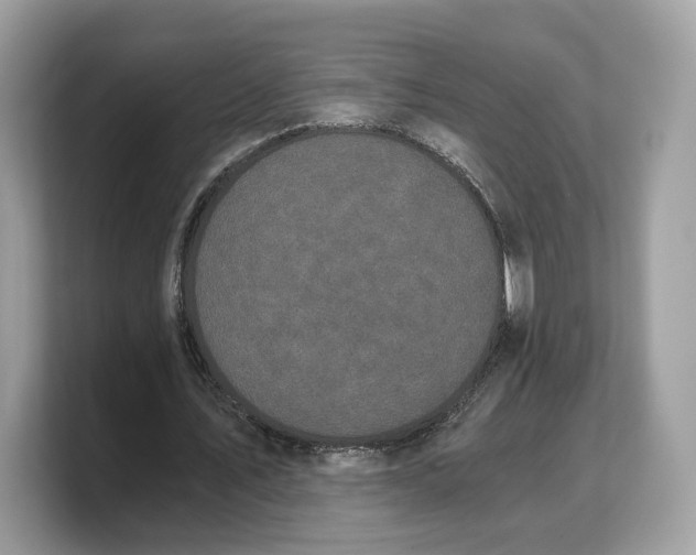 X0000103220579200809181505