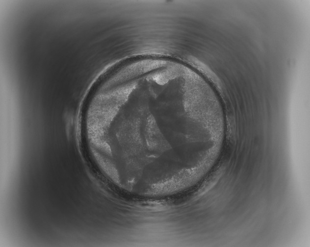 X0000103220580200809181505