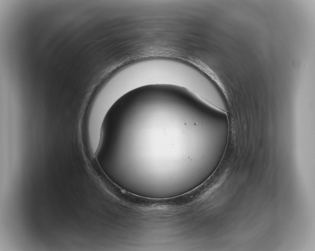 X0000103220581200809181505