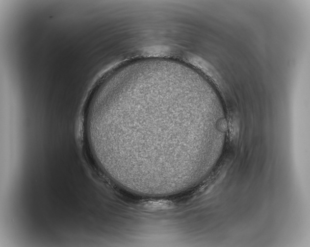 X0000103220583200809181505