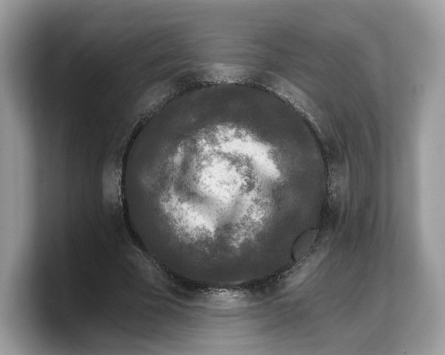 X0000103220585200809181505