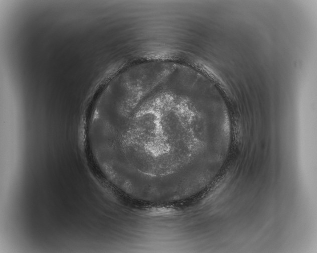 X0000103220586200809181505