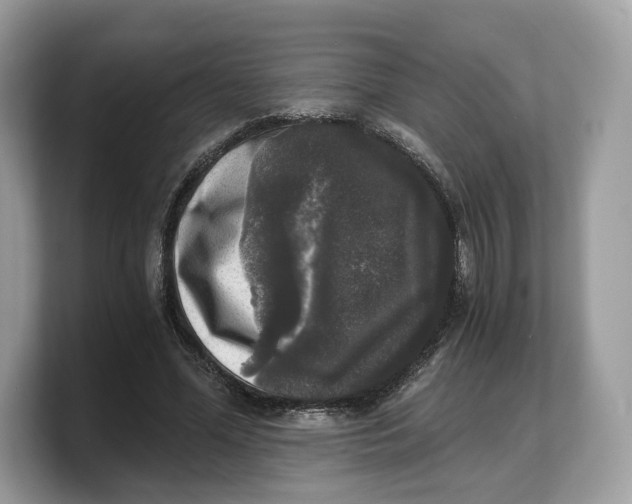 X0000103220588200809181505