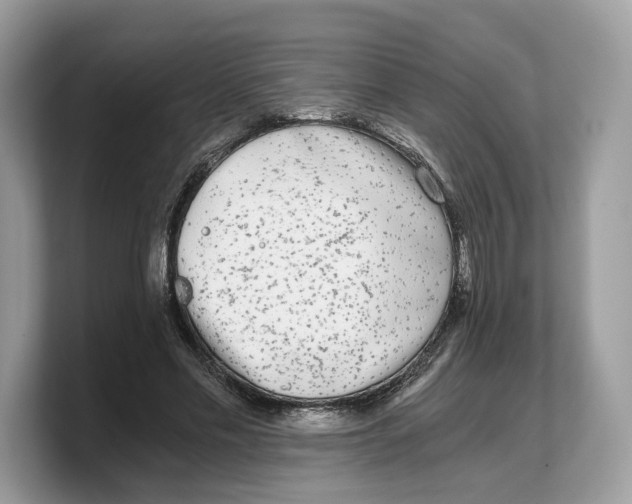 X0000103220589200809181505