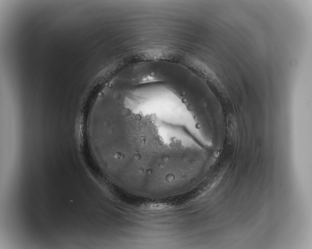 X0000103220590200809181505