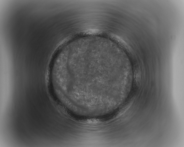 X0000103220591200809181505