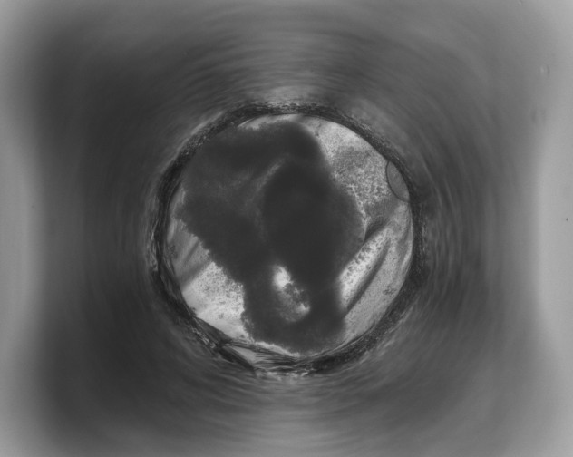 X0000103220592200809181505