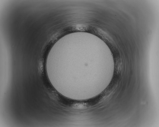 X0000103220595200809181505