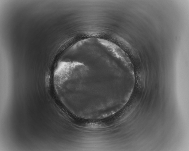 X0000103220596200809181505