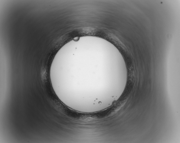 X0000103220597200809181505