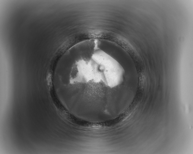 X0000103220598200809181505