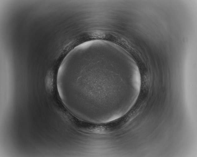 X0000103220600200809181505