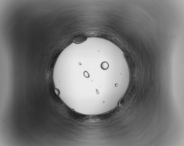 X0000103220601200809181505